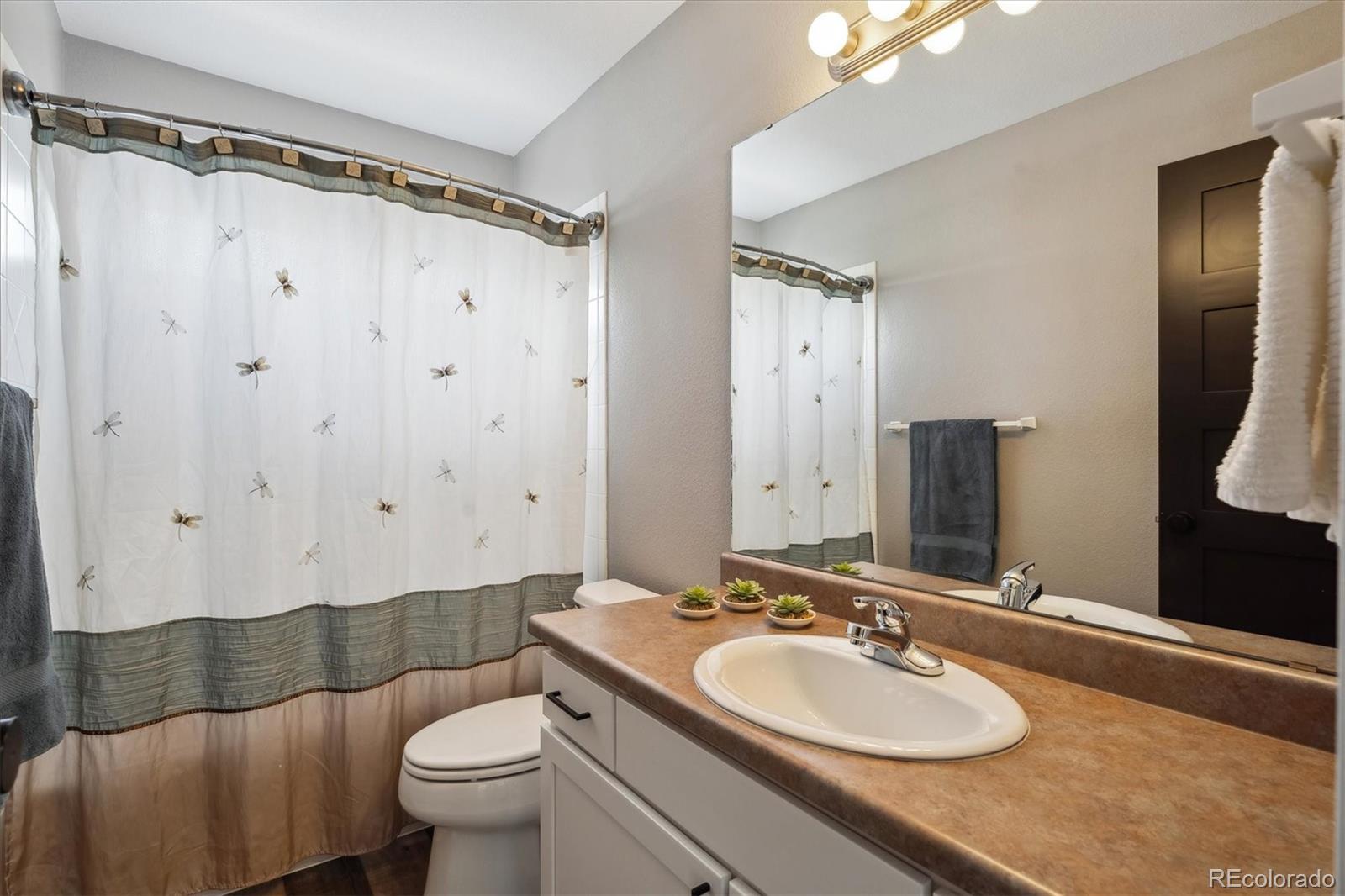 MLS Image #15 for 4815  lucille court,loveland, Colorado