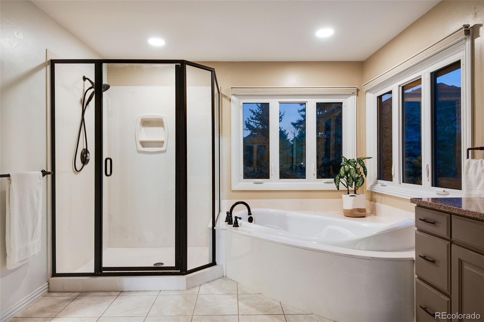 MLS Image #16 for 9980  newton court,westminster, Colorado