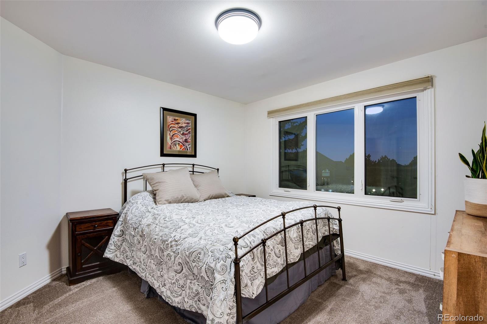 MLS Image #19 for 9980  newton court,westminster, Colorado