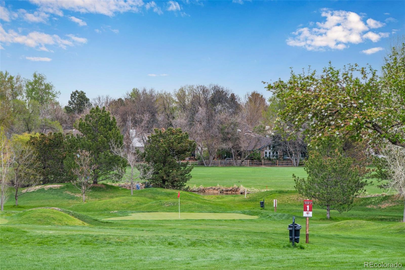 MLS Image #31 for 9980  newton court,westminster, Colorado