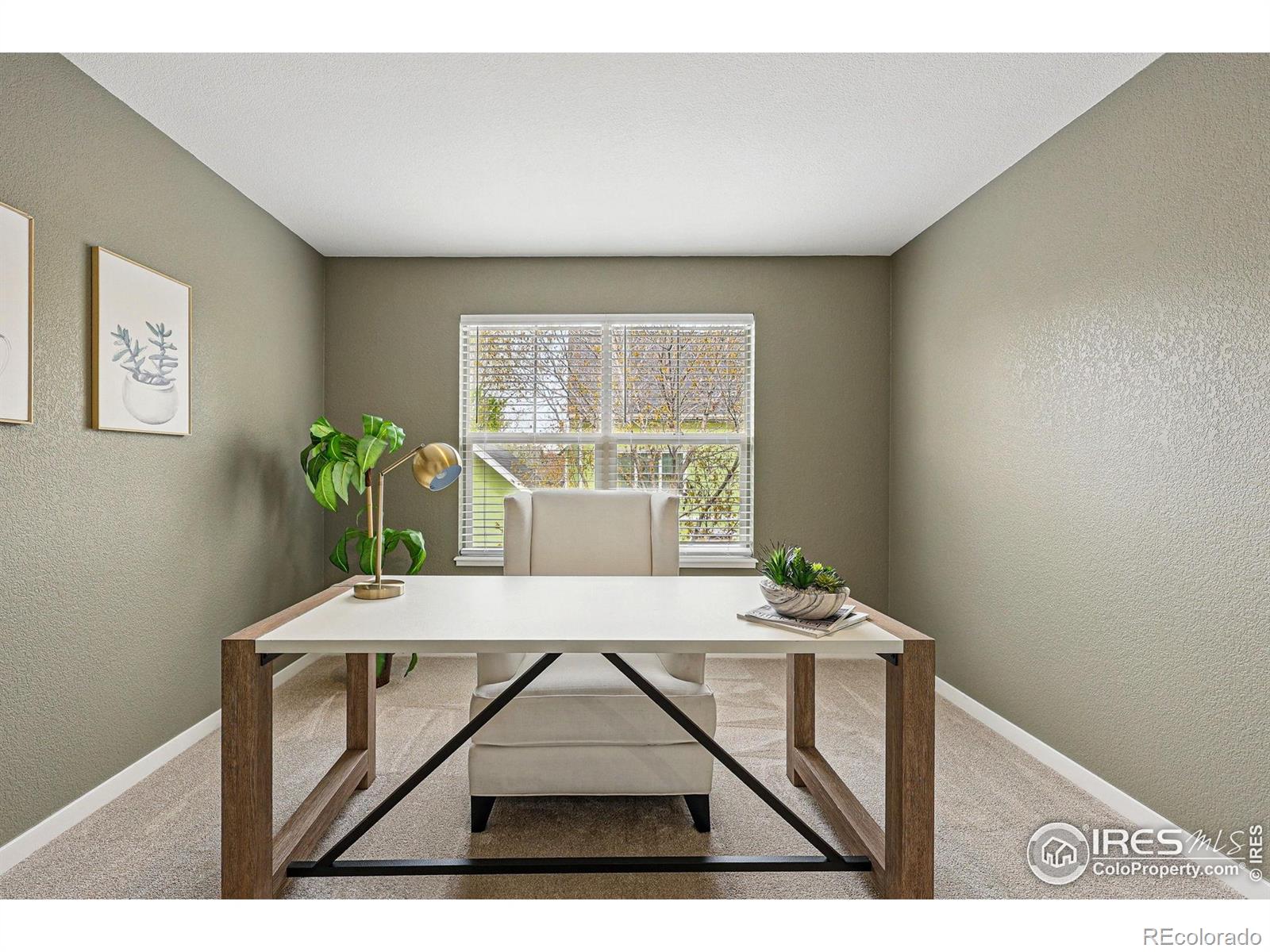 MLS Image #10 for 1230  tyler place,erie, Colorado