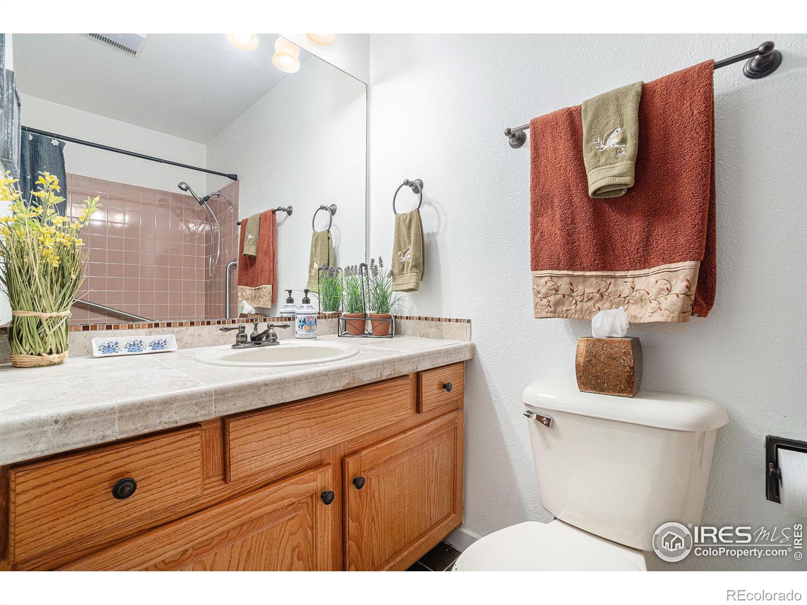 MLS Image #17 for 1422  matthew circle,estes park, Colorado