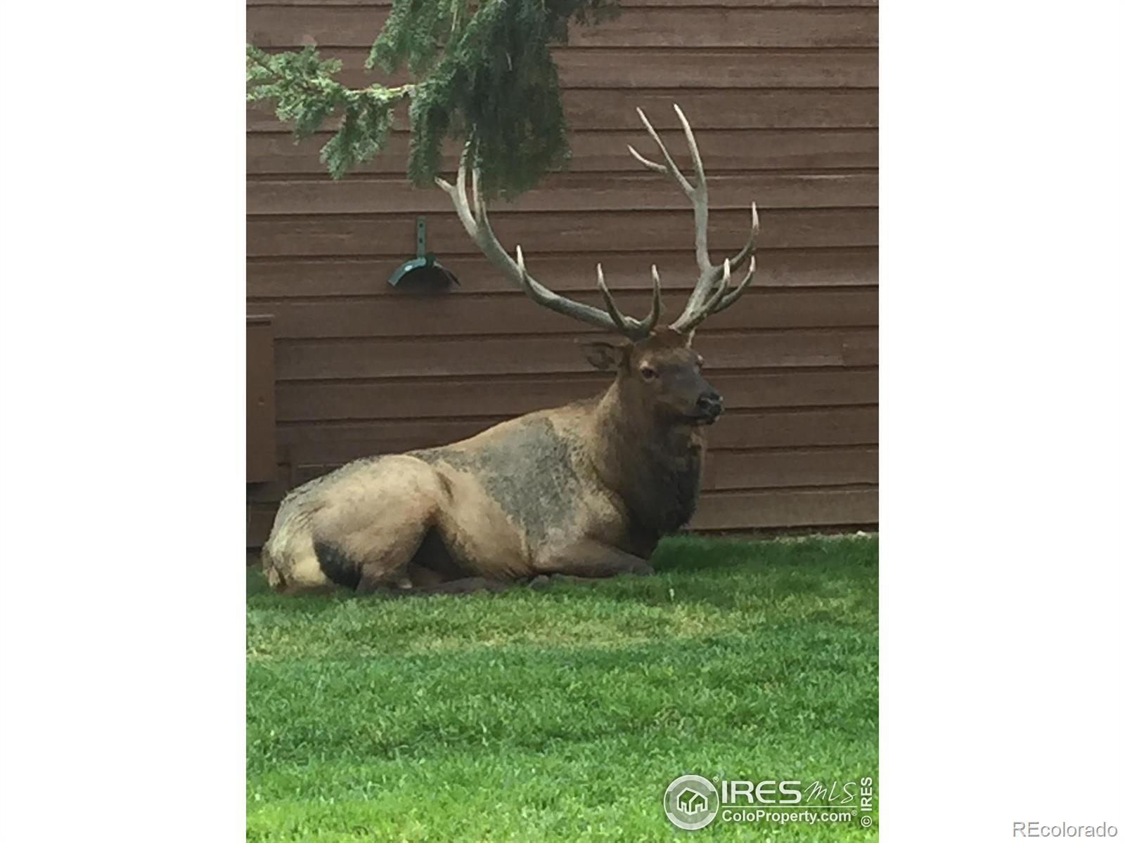 MLS Image #25 for 1422  matthew circle,estes park, Colorado
