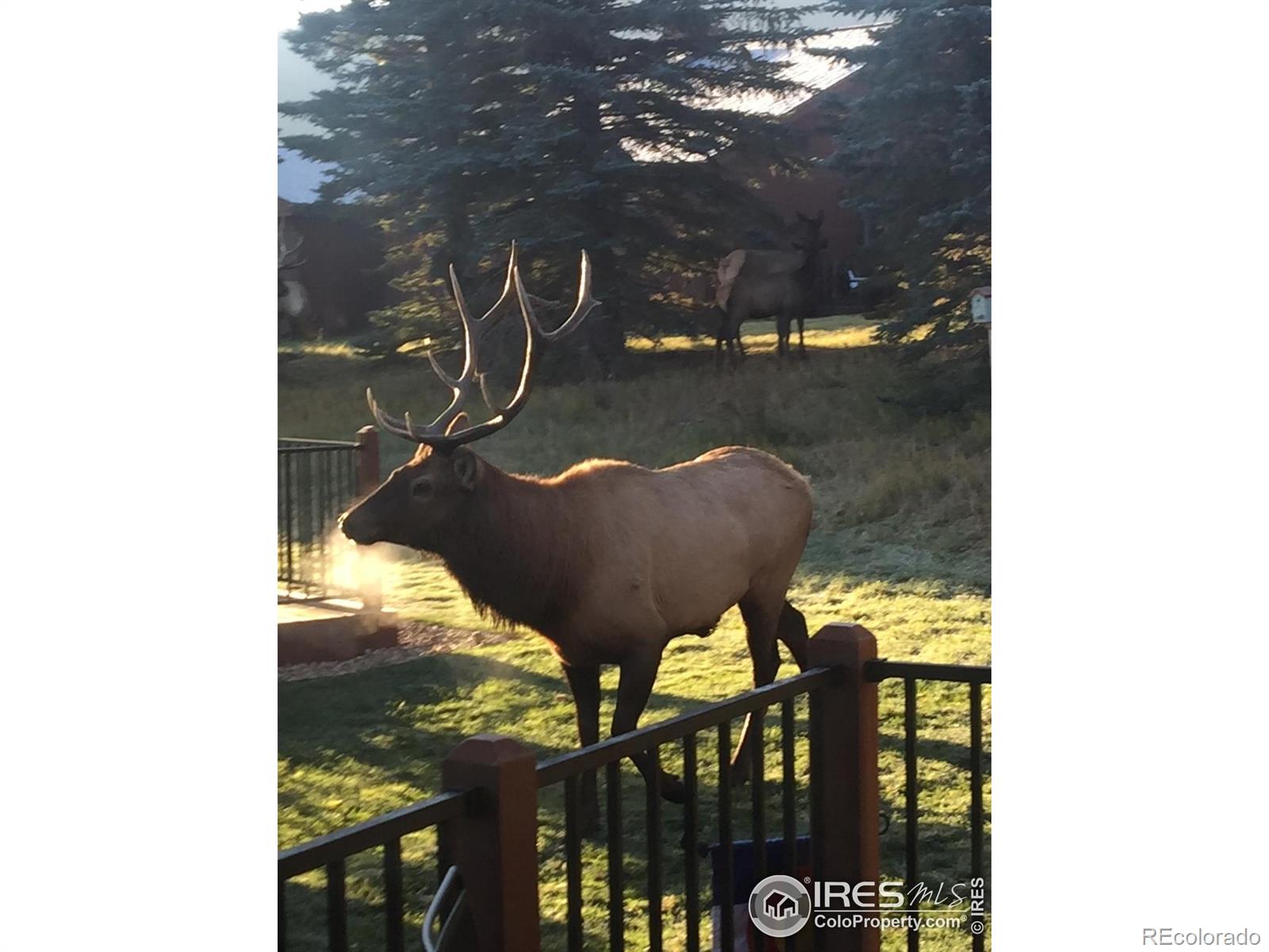 MLS Image #26 for 1422  matthew circle,estes park, Colorado