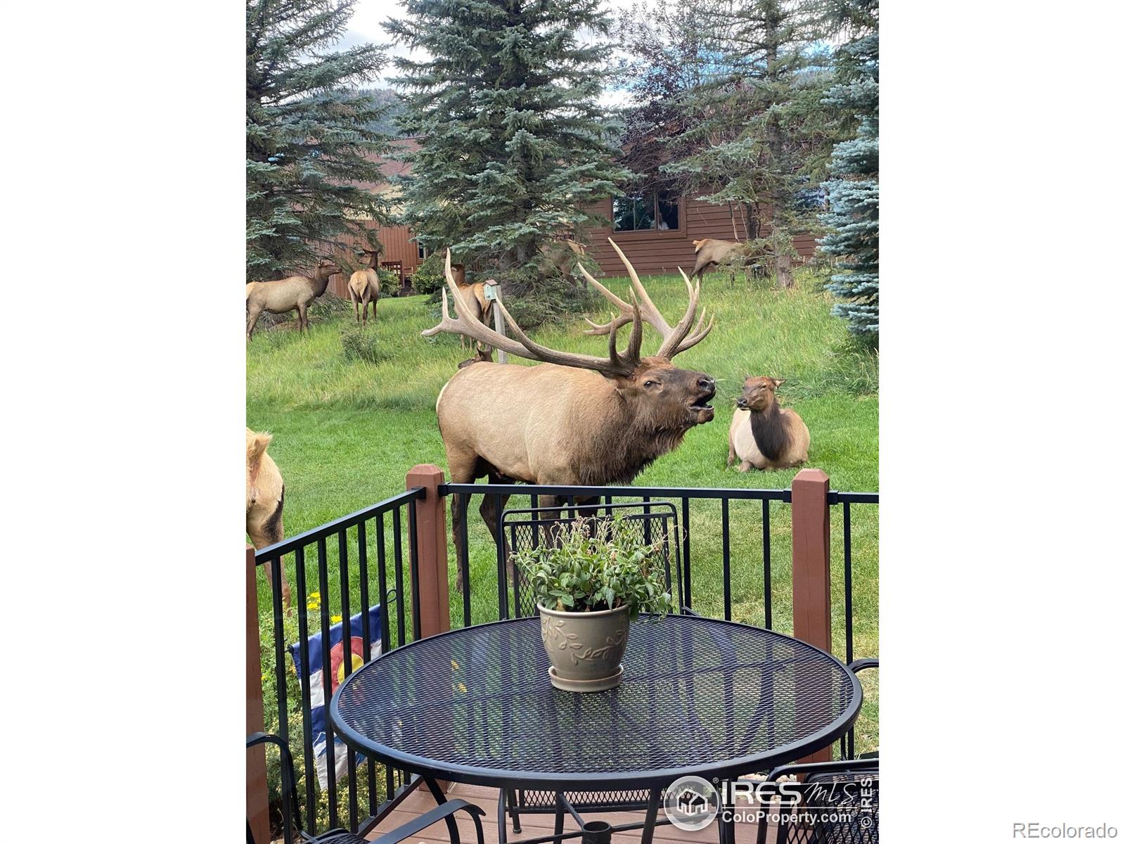 MLS Image #28 for 1422  matthew circle,estes park, Colorado