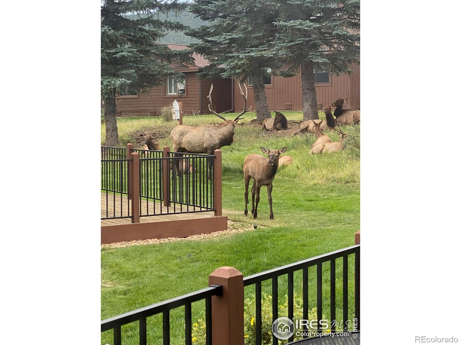 MLS Image #29 for 1422  matthew circle,estes park, Colorado