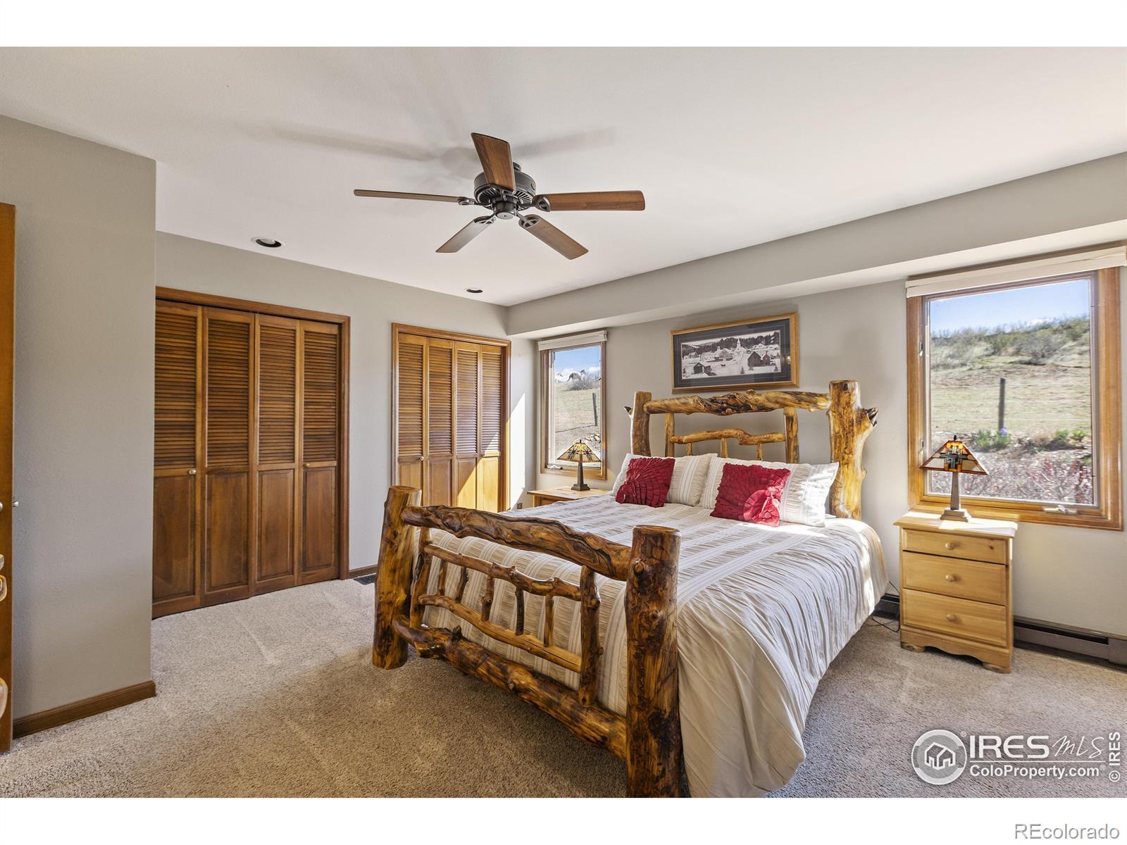 MLS Image #11 for 80  juniper ridge road,laporte, Colorado