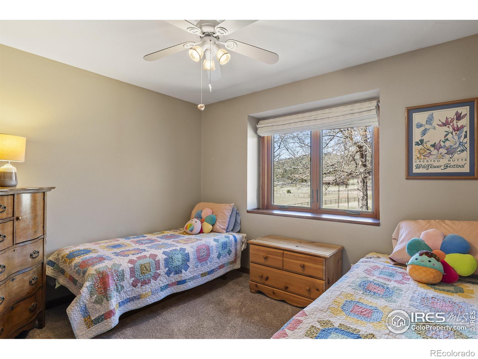 MLS Image #13 for 80  juniper ridge road,laporte, Colorado