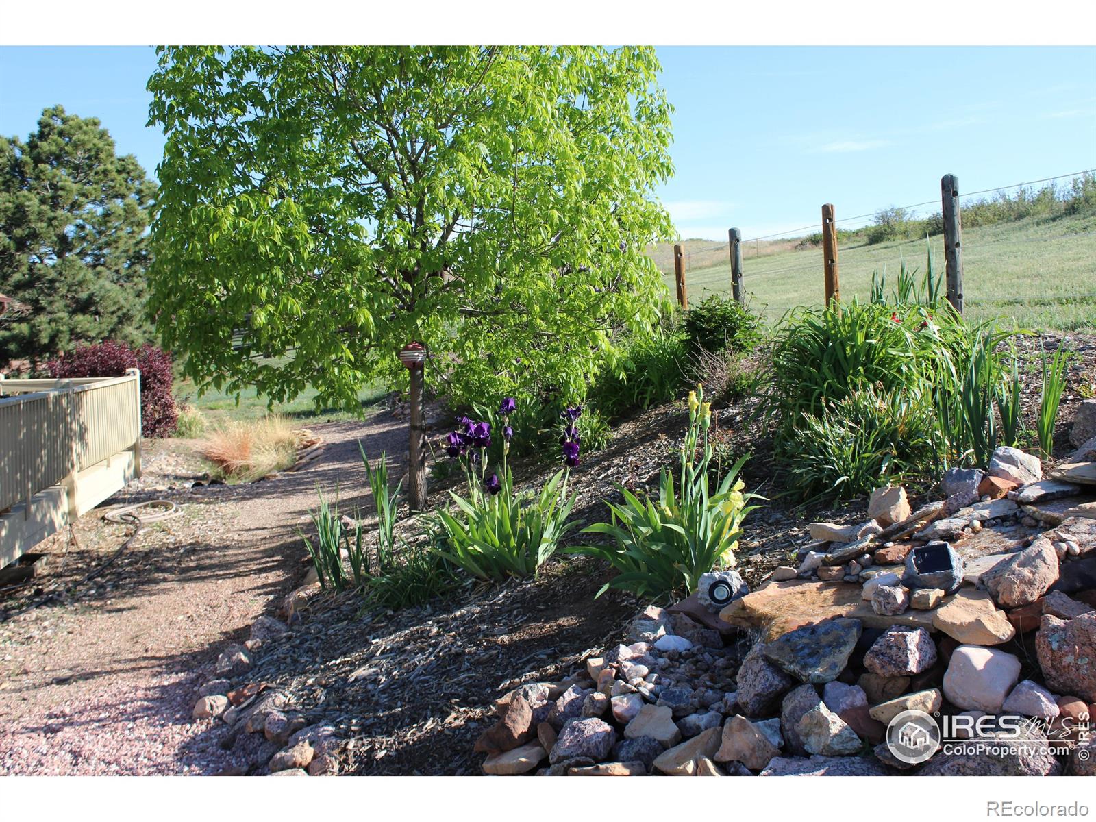 MLS Image #24 for 80  juniper ridge road,laporte, Colorado