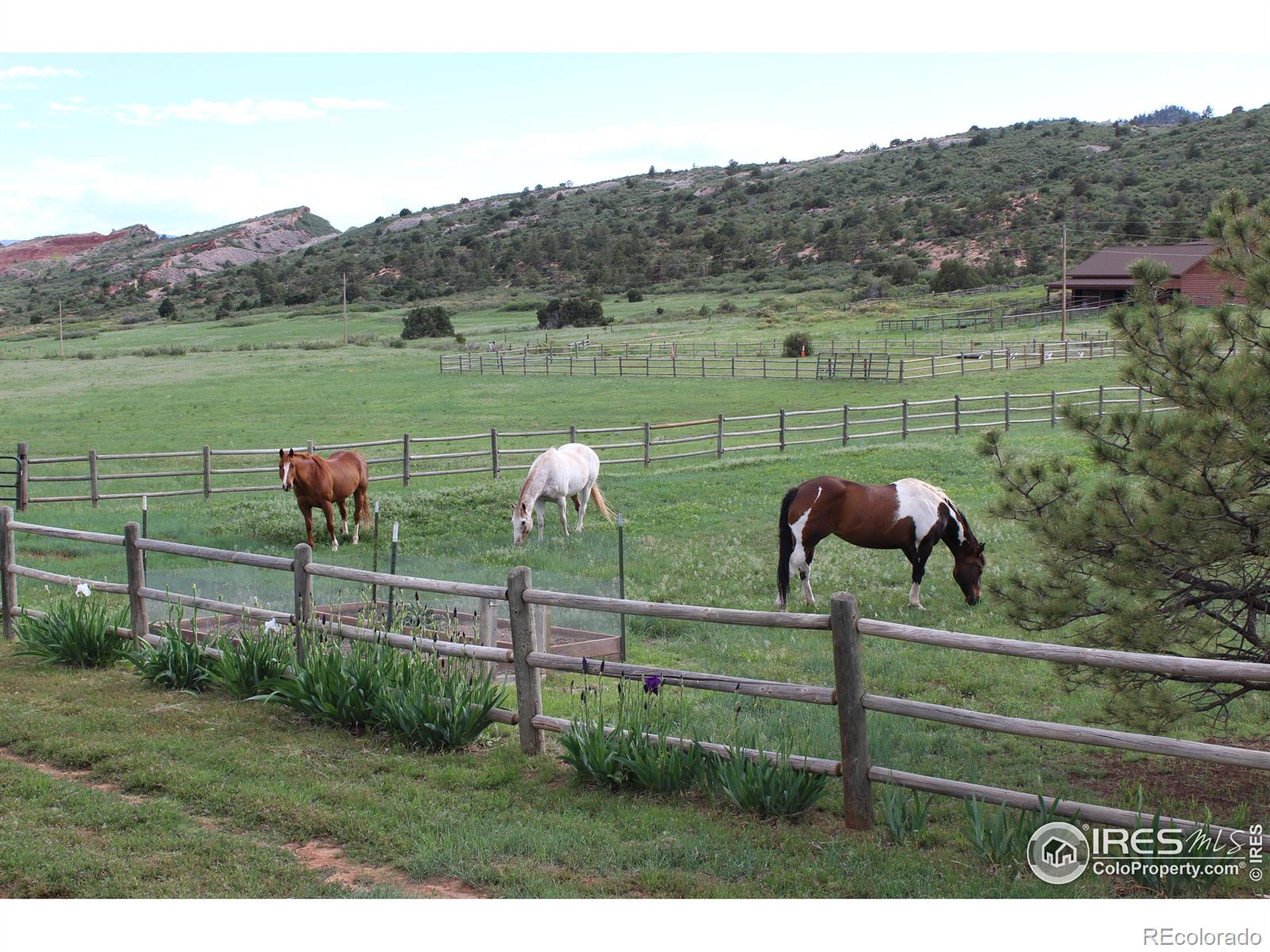 MLS Image #28 for 80  juniper ridge road,laporte, Colorado