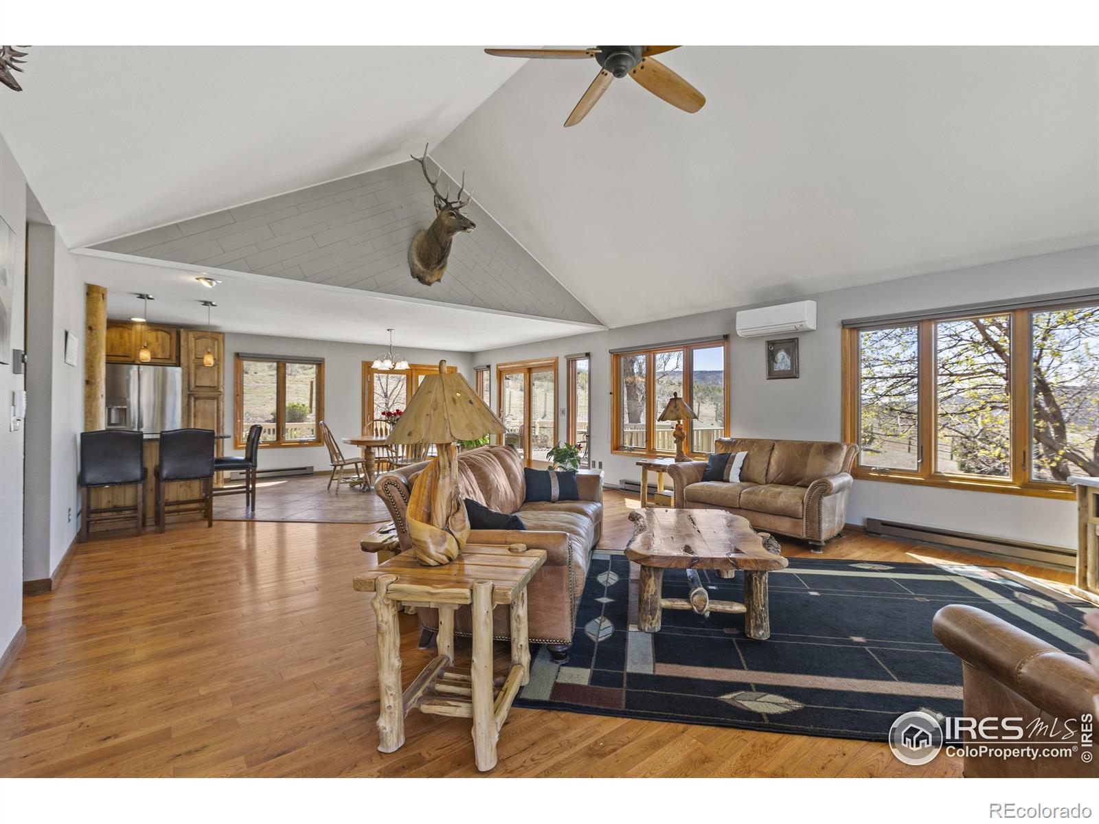MLS Image #3 for 80  juniper ridge road,laporte, Colorado