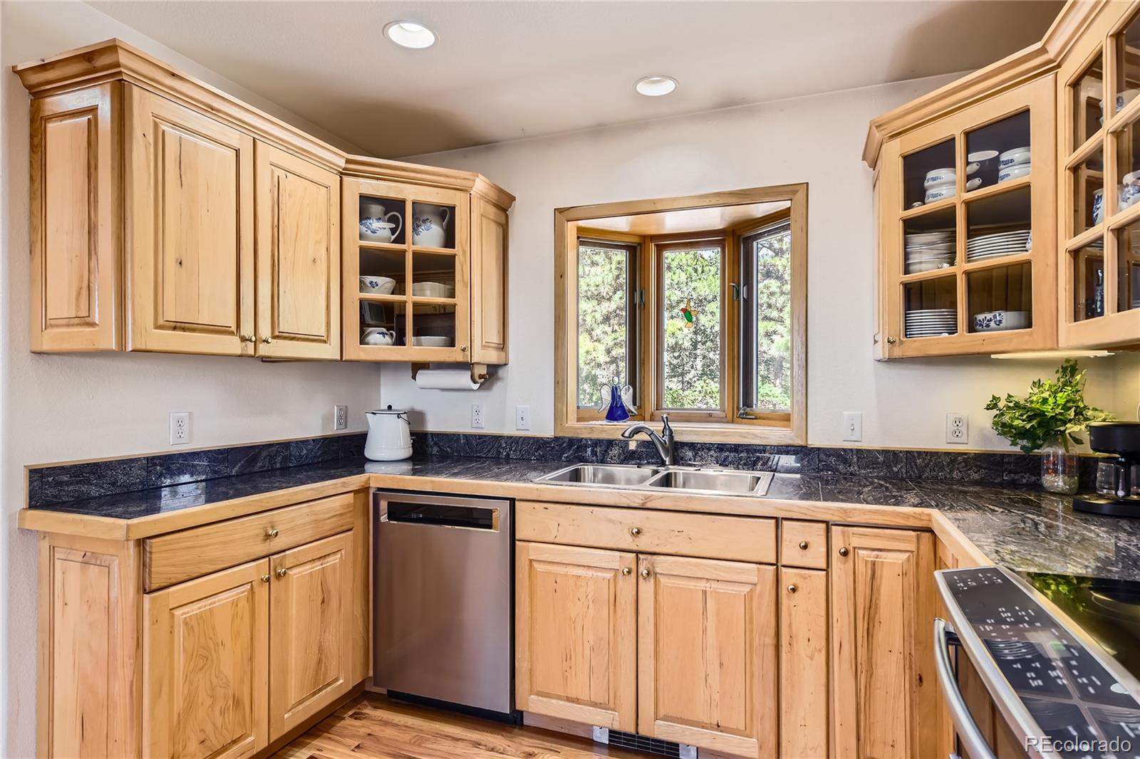 MLS Image #10 for 10450  hondah drive,littleton, Colorado