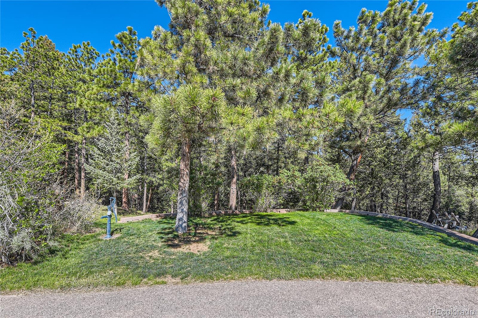 MLS Image #39 for 10450  hondah drive,littleton, Colorado