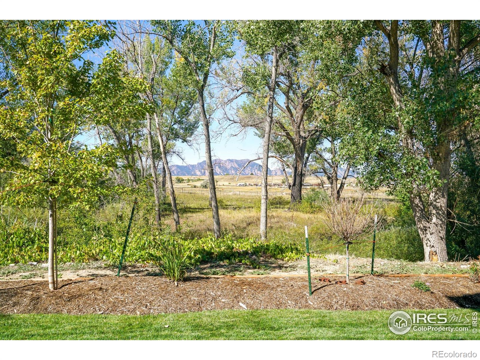 MLS Image #9 for 313 s 3rd avenue,superior, Colorado
