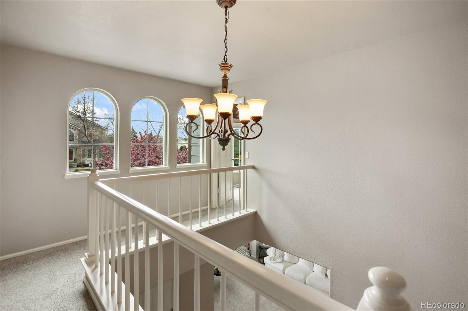 MLS Image #18 for 7820  curlew court,colorado springs, Colorado