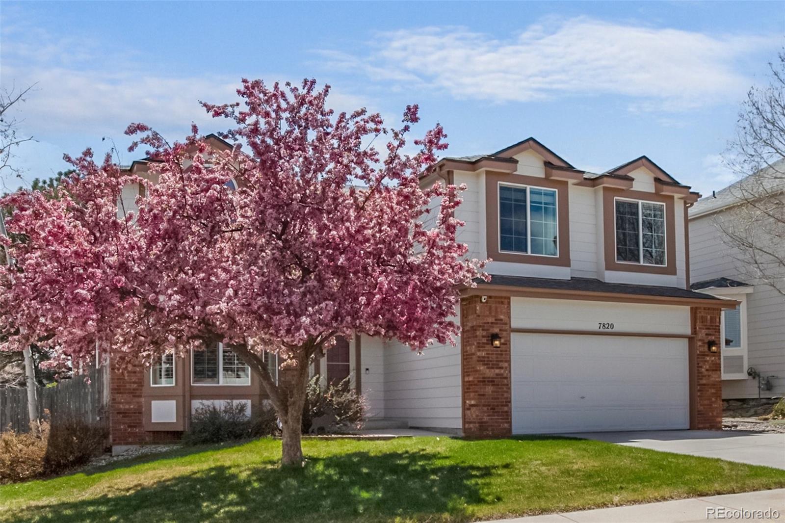 MLS Image #7 for 7820  curlew court,colorado springs, Colorado