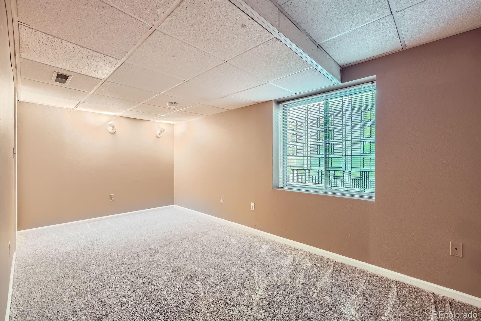 MLS Image #20 for 9916  spring hill lane,highlands ranch, Colorado