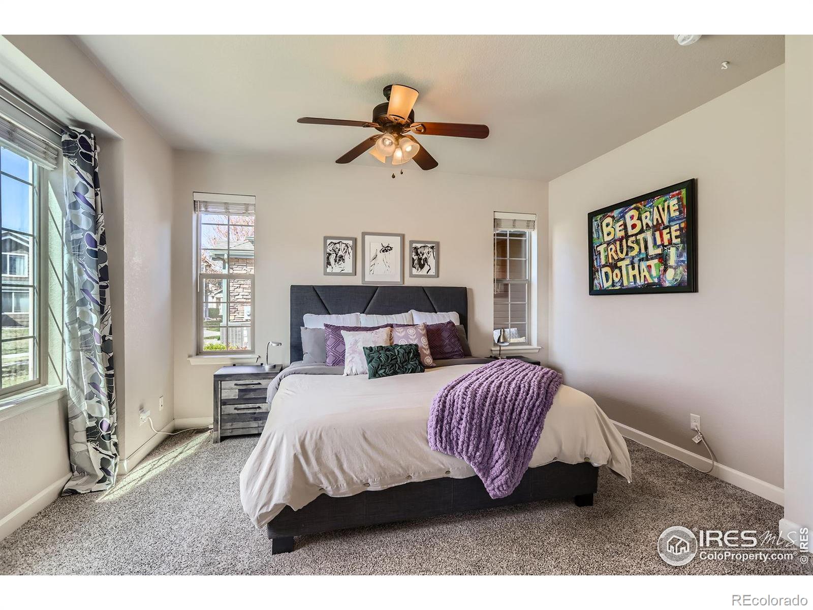 MLS Image #13 for 3445  rhea drive,loveland, Colorado