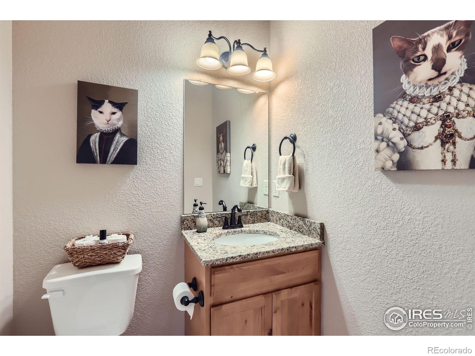 MLS Image #16 for 3445  rhea drive,loveland, Colorado