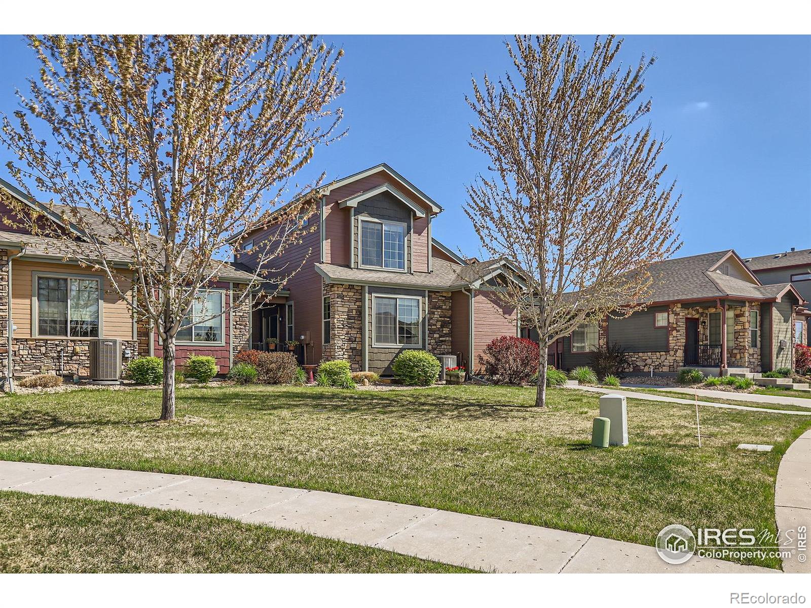 MLS Image #3 for 3445  rhea drive,loveland, Colorado