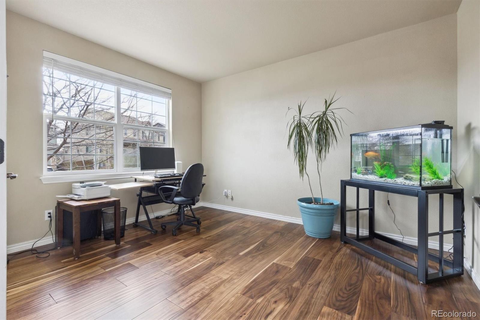 MLS Image #7 for 3475  golden spur loop,castle rock, Colorado