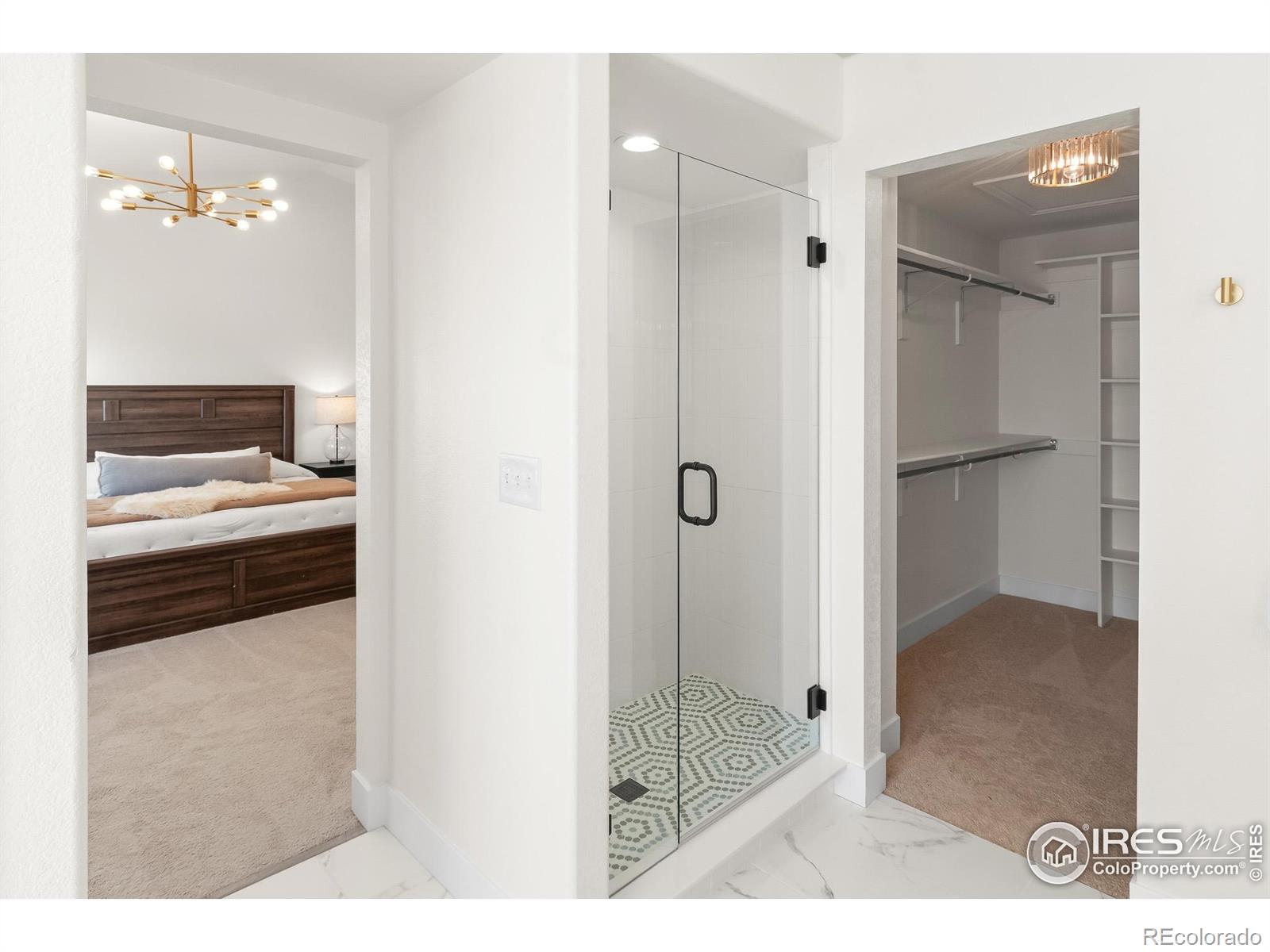 MLS Image #13 for 7695  spyglass court,windsor, Colorado
