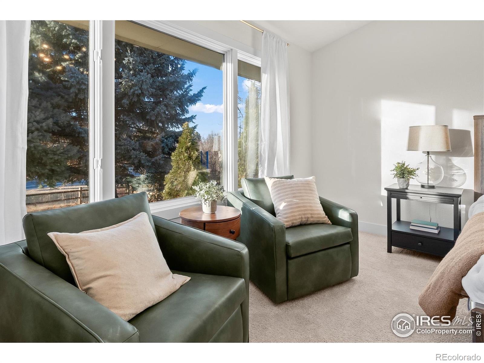 MLS Image #9 for 7695  spyglass court,windsor, Colorado