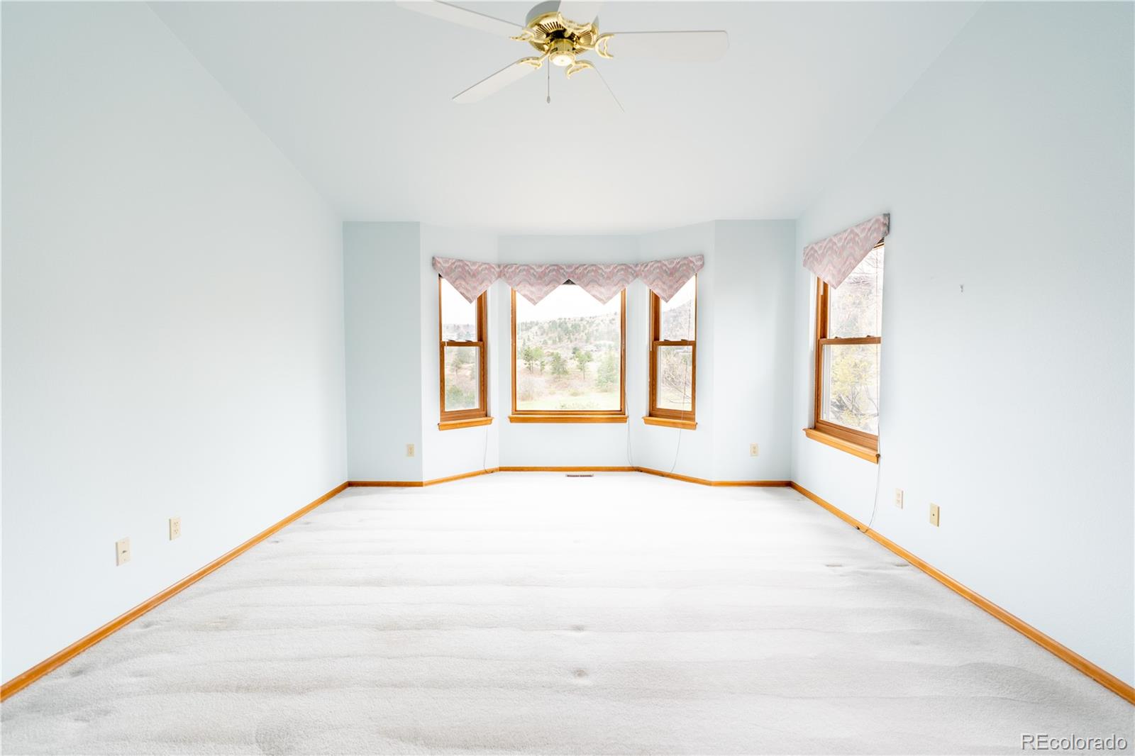 MLS Image #12 for 2455  clayton court,colorado springs, Colorado