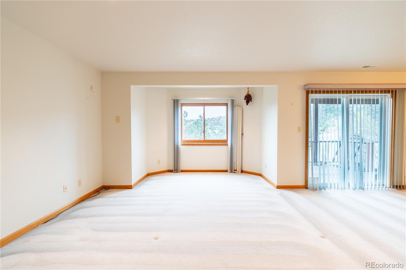 MLS Image #18 for 2455  clayton court,colorado springs, Colorado