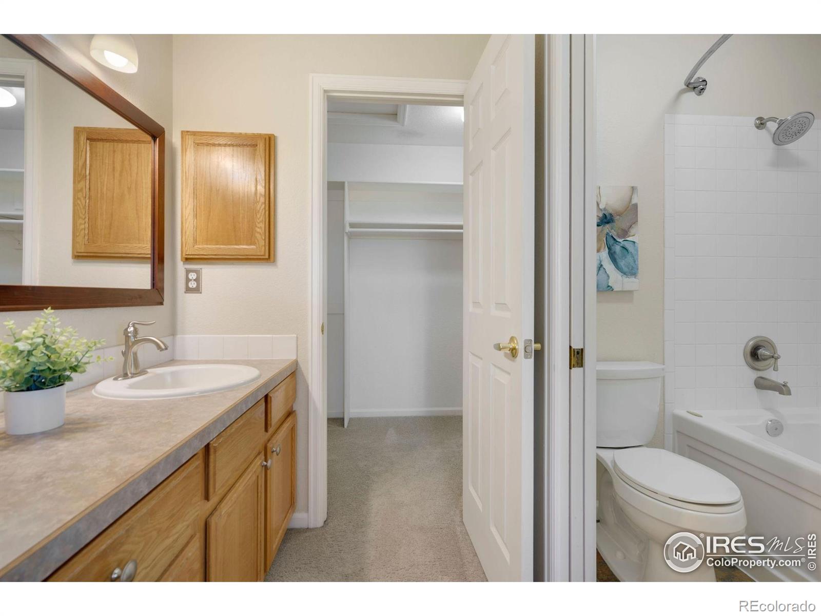 MLS Image #13 for 2120  timber creek drive,fort collins, Colorado