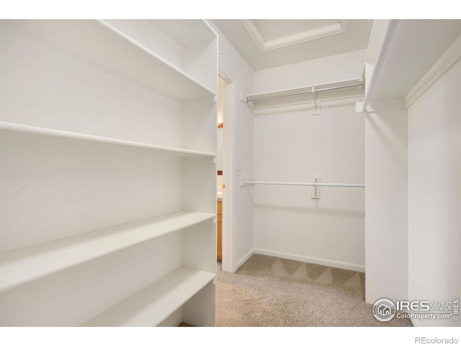 MLS Image #20 for 2120  timber creek drive,fort collins, Colorado