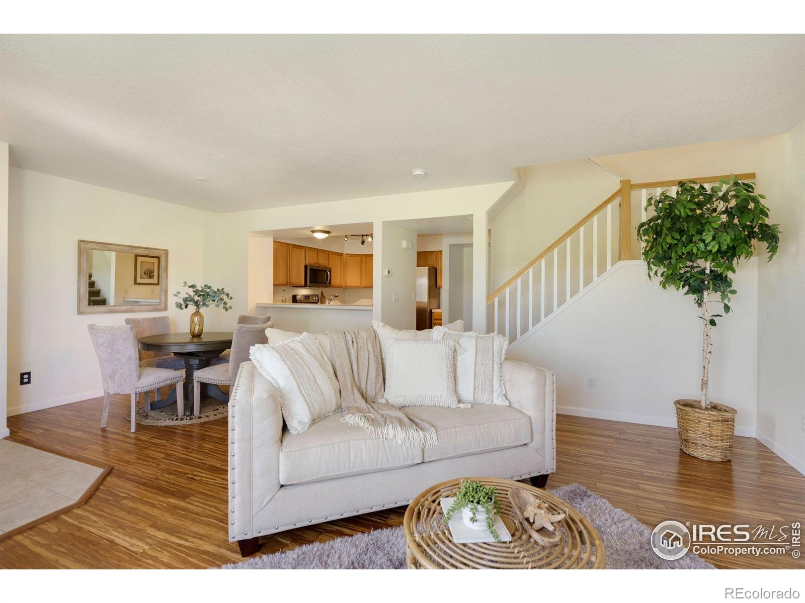 MLS Image #8 for 2120  timber creek drive,fort collins, Colorado
