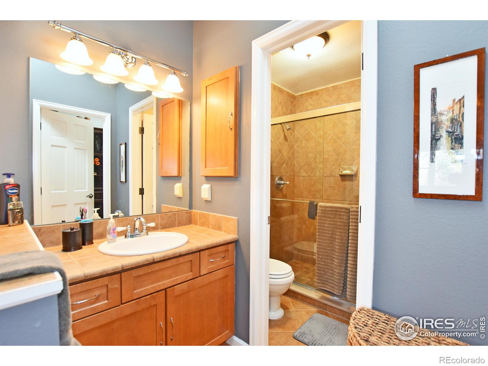 MLS Image #16 for 1021  pinyon drive,windsor, Colorado