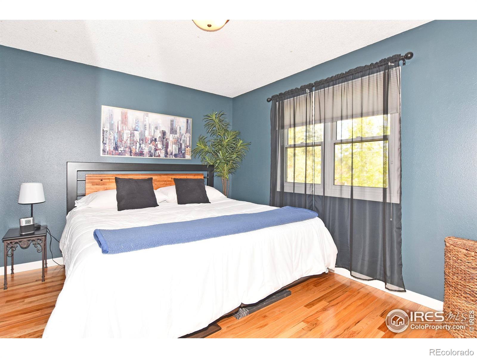 MLS Image #17 for 1021  pinyon drive,windsor, Colorado