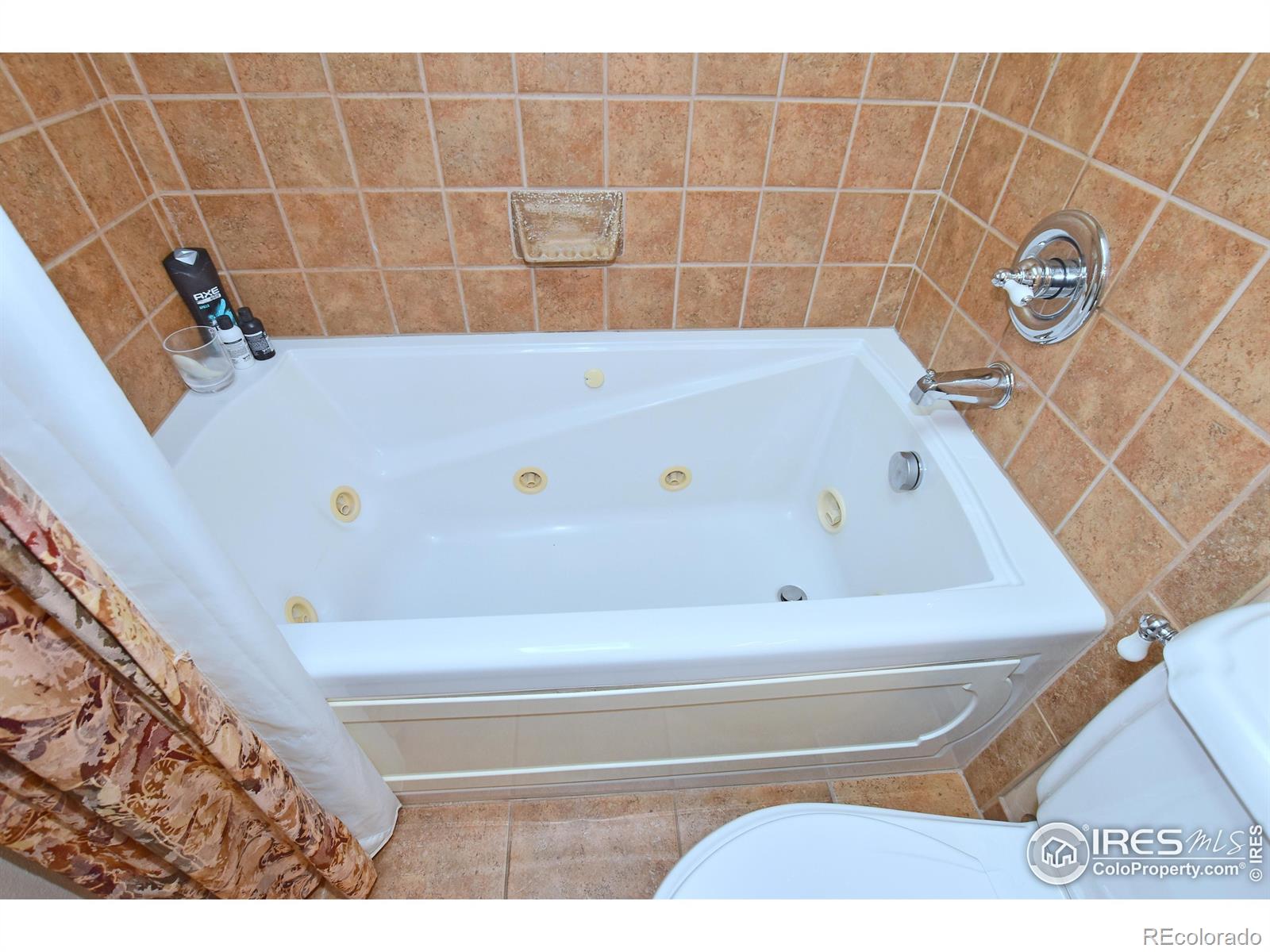MLS Image #21 for 1021  pinyon drive,windsor, Colorado