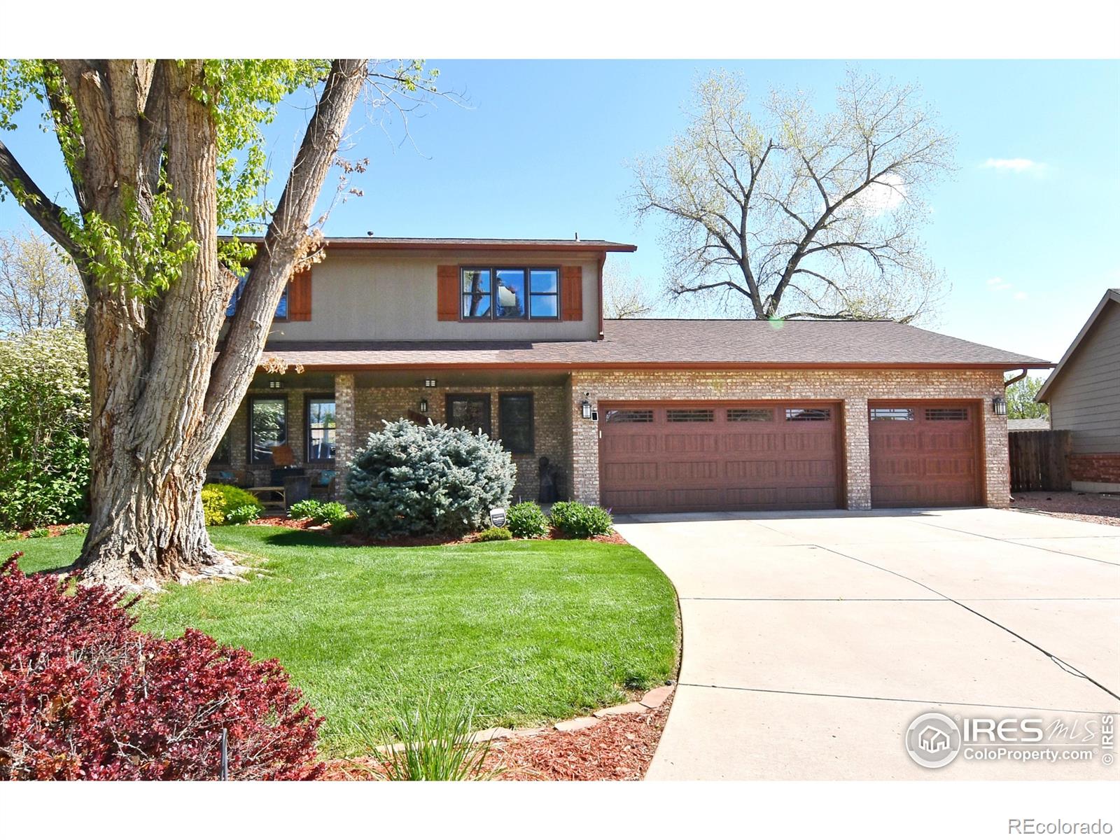 MLS Image #3 for 1021  pinyon drive,windsor, Colorado