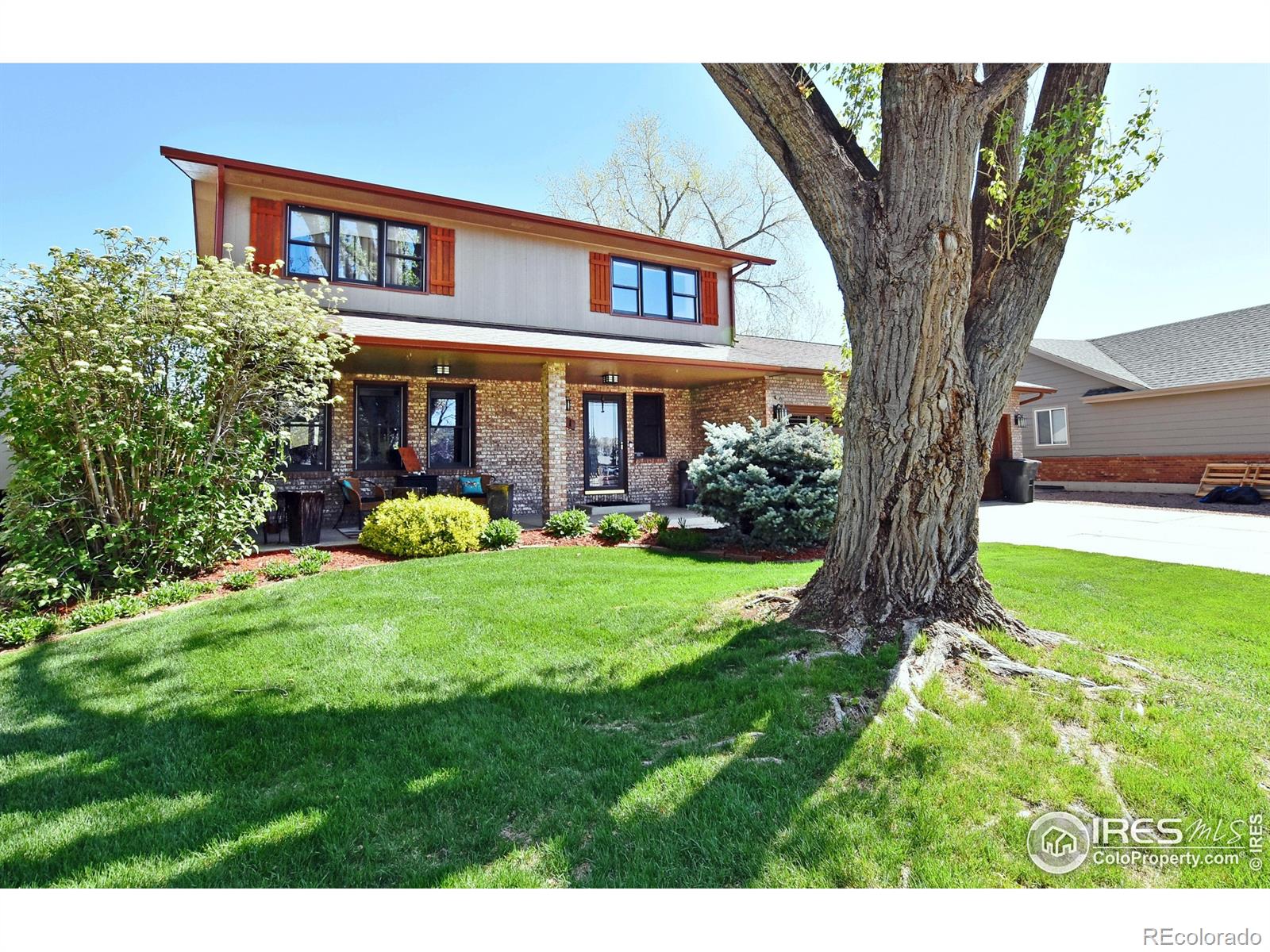 MLS Image #4 for 1021  pinyon drive,windsor, Colorado