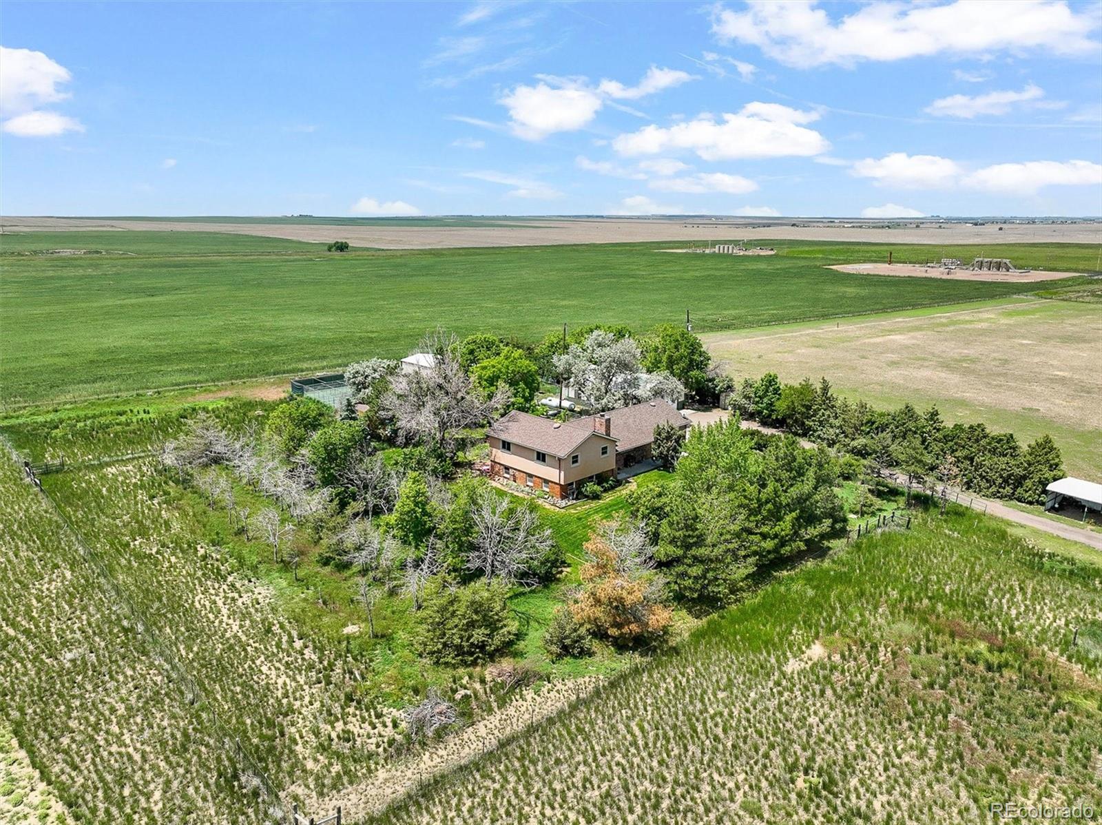 MLS Image #46 for 1335 s kio street,watkins, Colorado