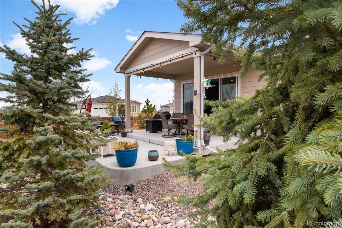 MLS Image #35 for 1694  castle vista way,castle rock, Colorado