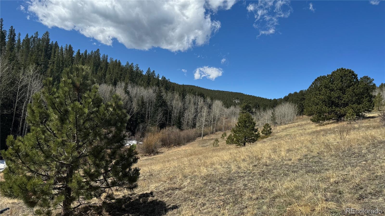 MLS Image #23 for 2106  upper apex road,central city, Colorado