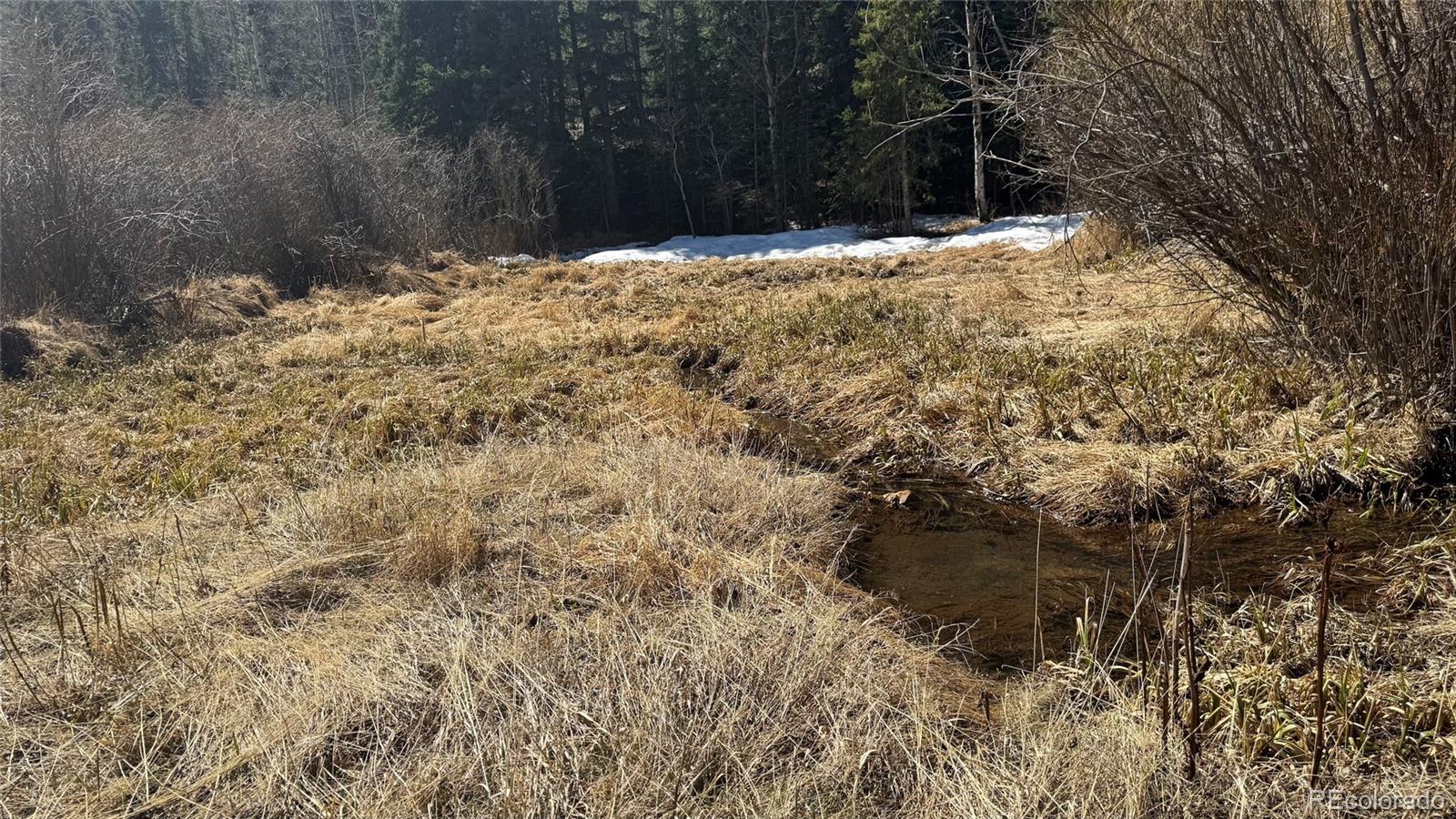 MLS Image #28 for 2106  upper apex road,central city, Colorado