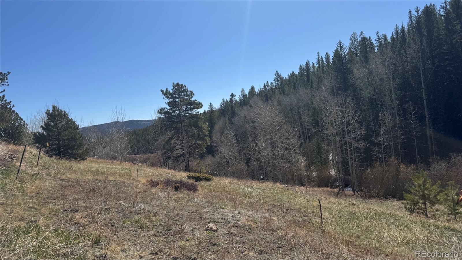 MLS Image #31 for 2106  upper apex road,central city, Colorado