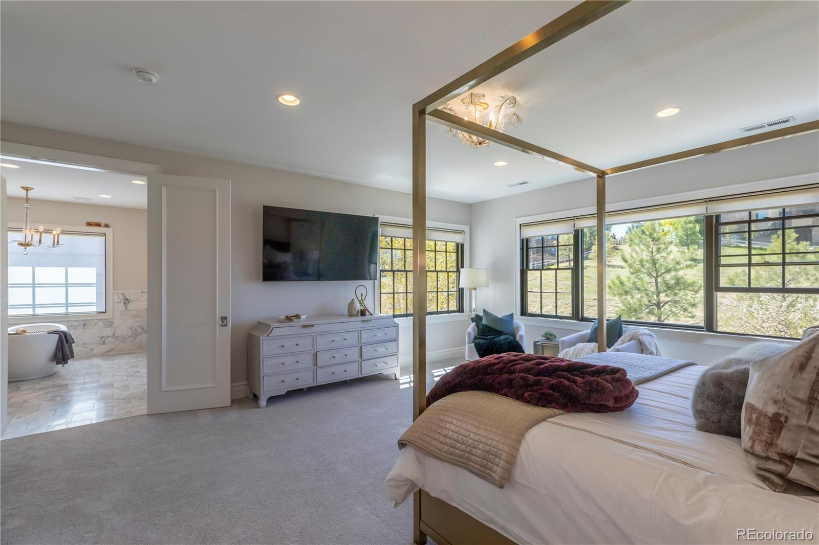 MLS Image #14 for 10704  flowerburst court,highlands ranch, Colorado