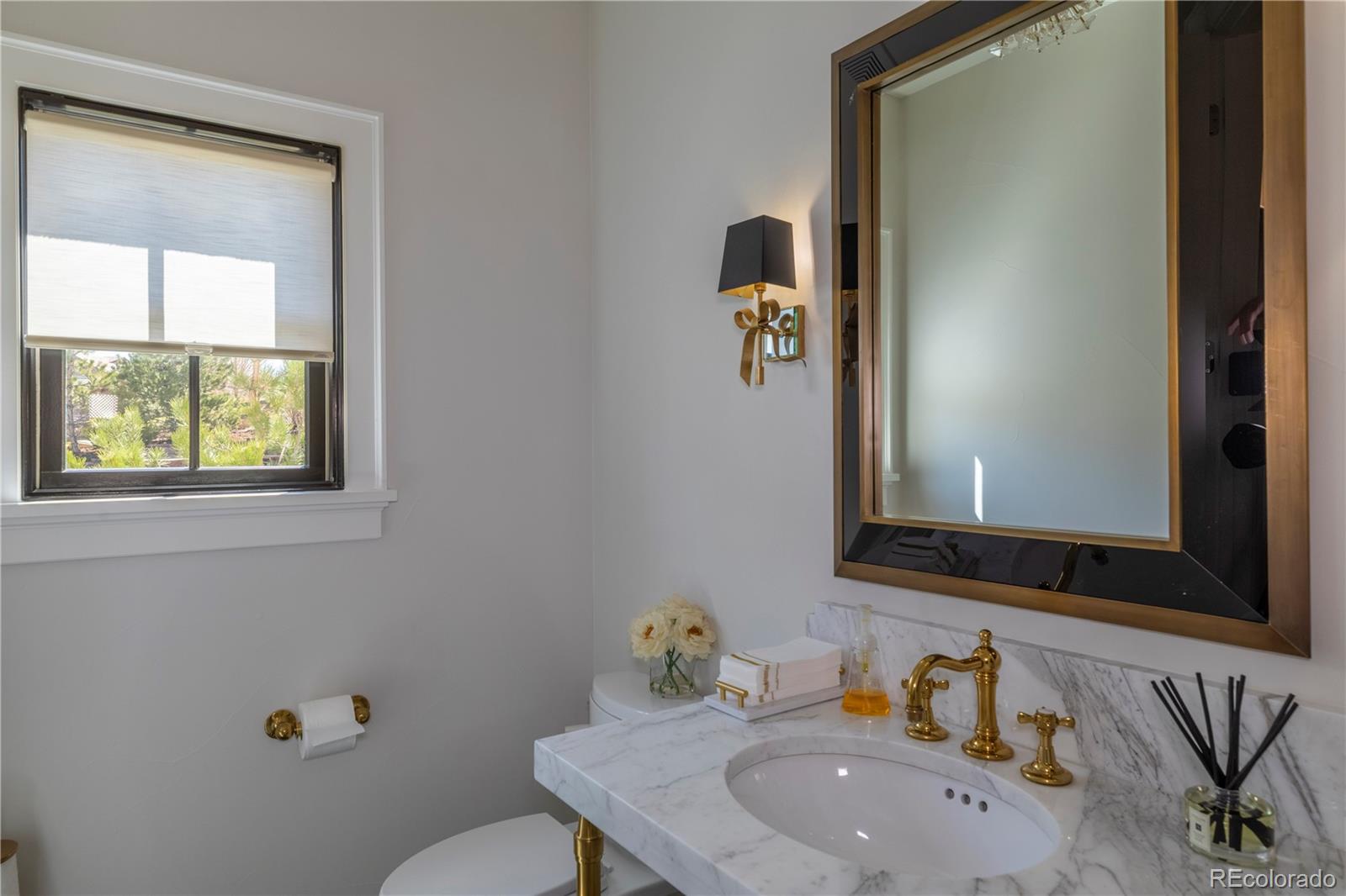 MLS Image #30 for 10704  flowerburst court,highlands ranch, Colorado