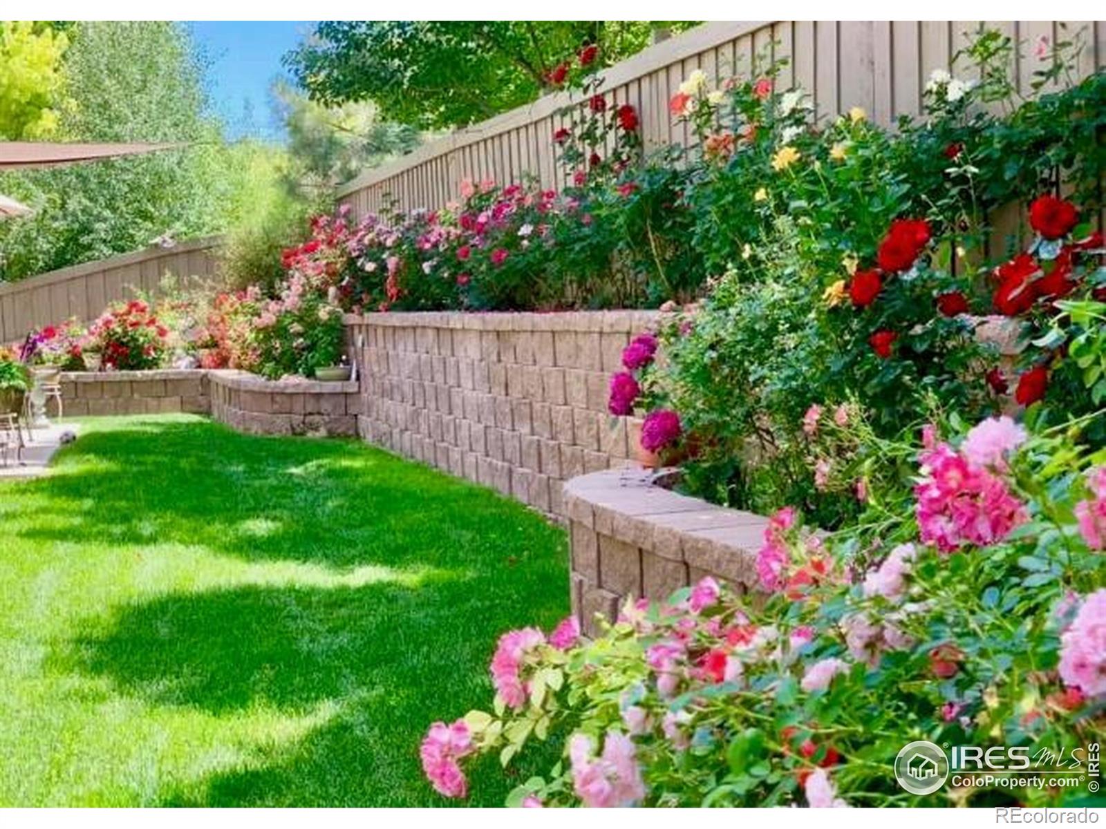 MLS Image #6 for 3415  muskrat creek drive,fort collins, Colorado