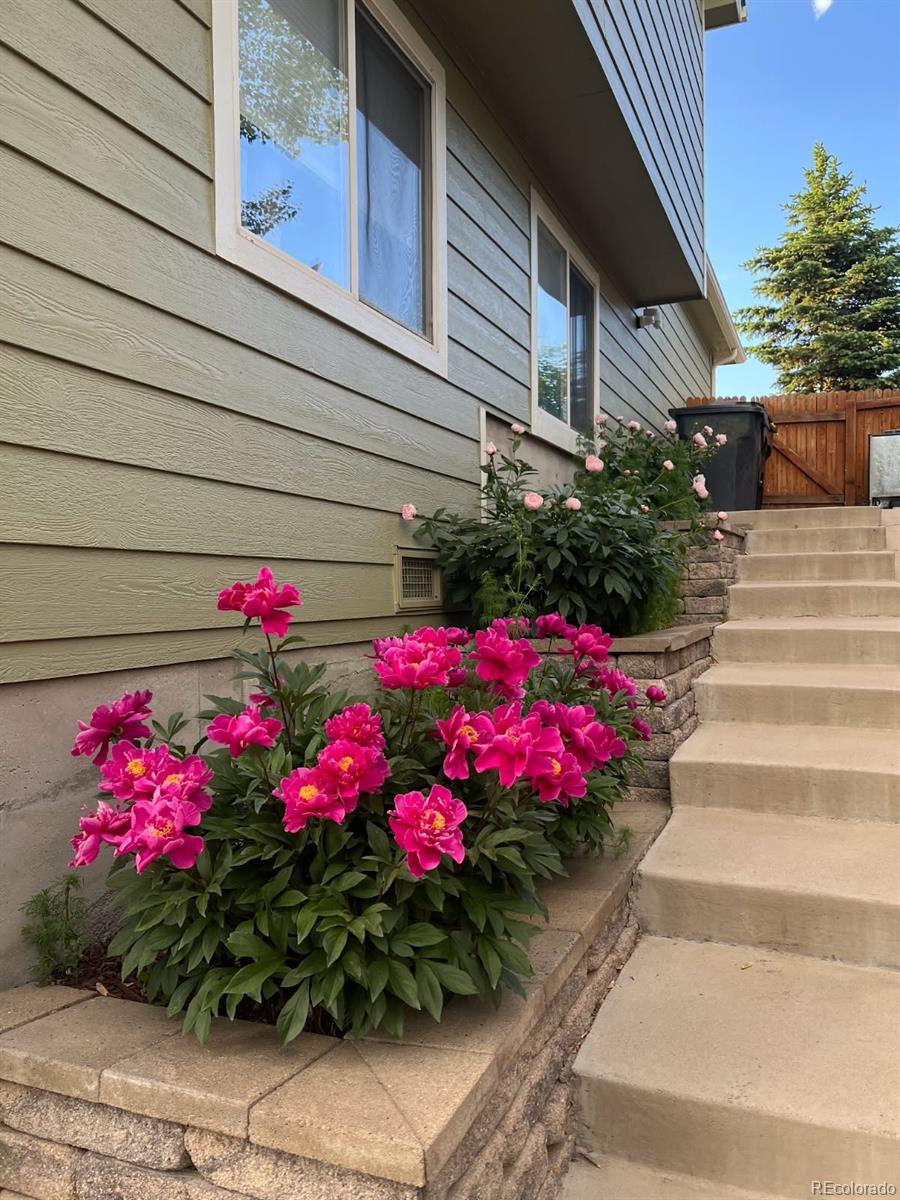 MLS Image #20 for 3865  rawhide circle,castle rock, Colorado