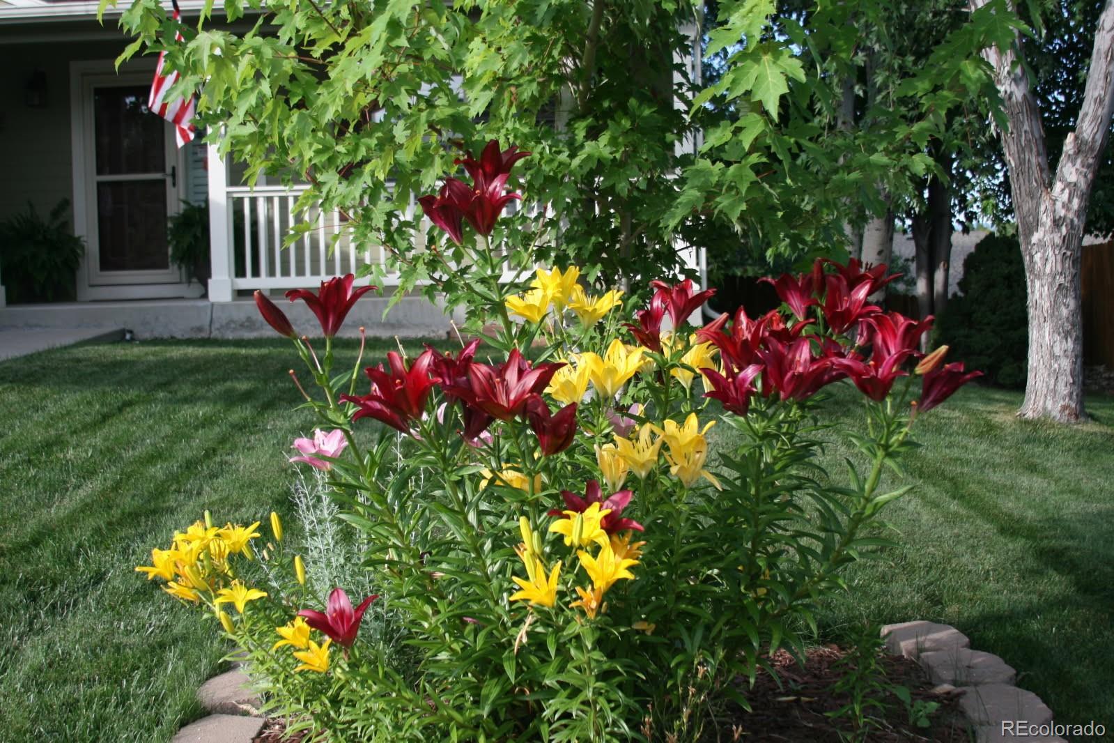 MLS Image #21 for 3865  rawhide circle,castle rock, Colorado