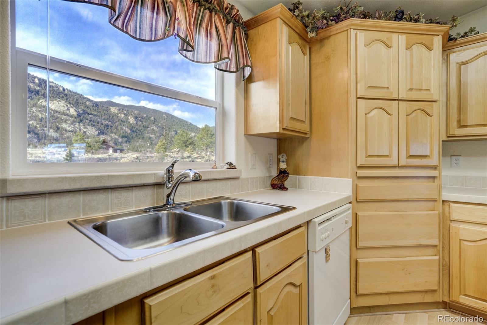 MLS Image #10 for 688  tiara road,lake george, Colorado