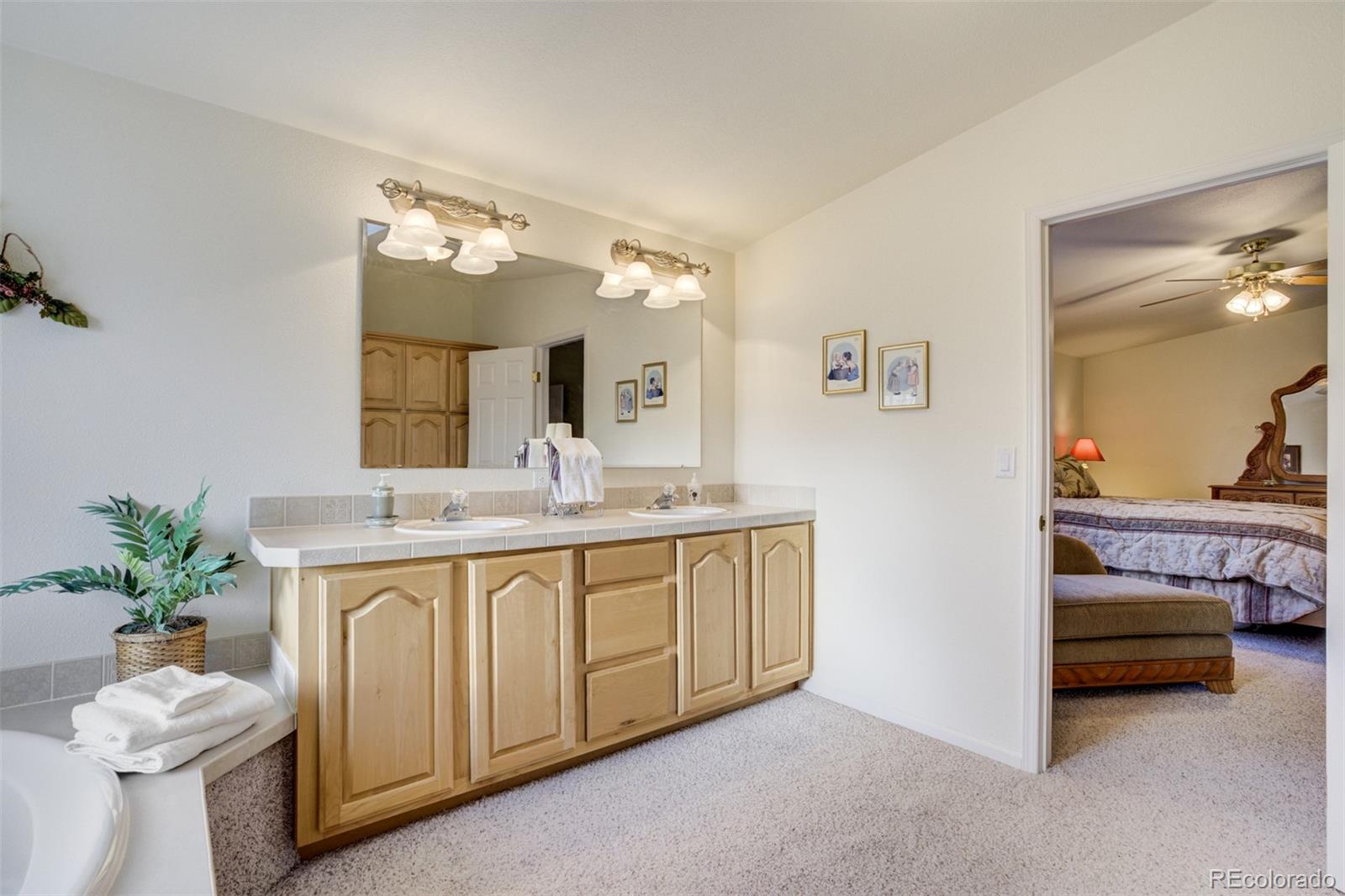 MLS Image #17 for 688  tiara road,lake george, Colorado