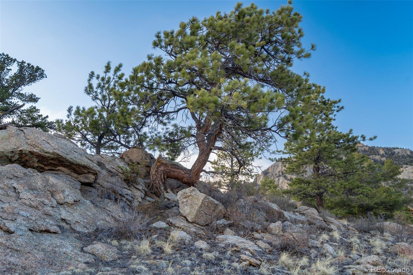 MLS Image #27 for 688  tiara road,lake george, Colorado